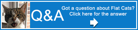 Click here for our questions and answers section 
